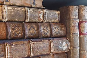 Kloster Wiblingen, Verzierte Buchrücken historischer Bände