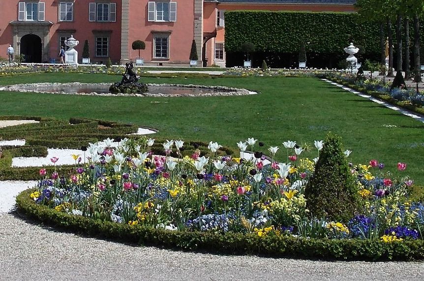 Foto: Staatliche Schlösser und Gärten Baden-Württemberg, Sandra Moritz Frühjahrsflor im Schlossgarten